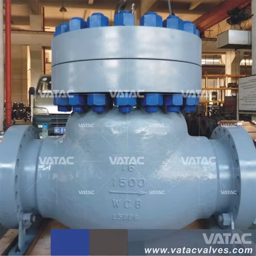 API 6D Industrial Flange or Wafer Cast Iron or Forged Stainless Steel Ball or Swing Check Valve