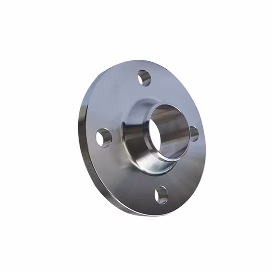 Flange standard e OEM in acciaio al carbonio e acciaio inossidabile